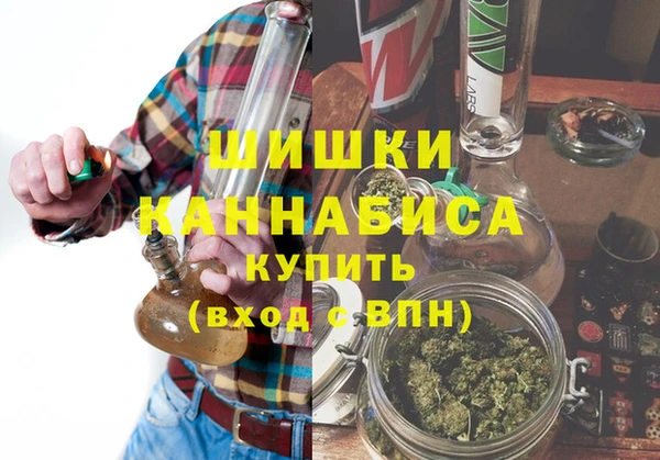 стафф Богородицк