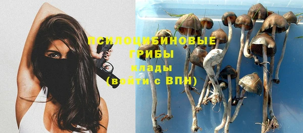 первитин Богородск