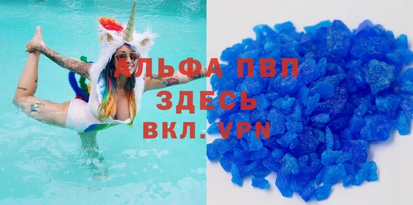 стафф Богородицк