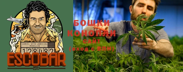 тгк Богданович