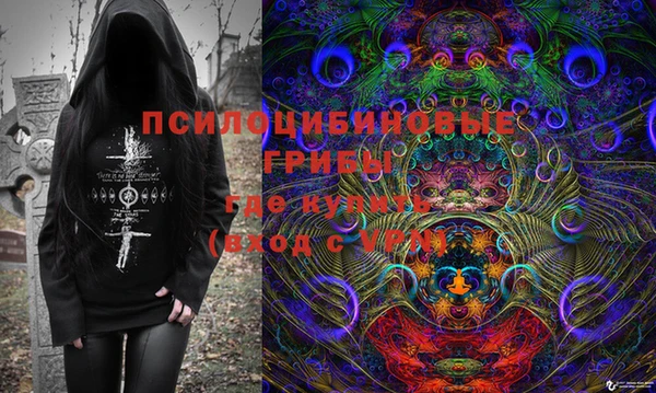 тгк Богданович