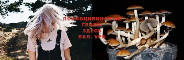 первитин Богородск