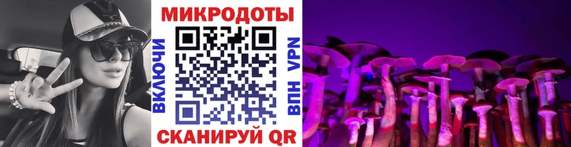 Псилоцибиновые грибы Cubensis  хочу наркоту  Нерехта 